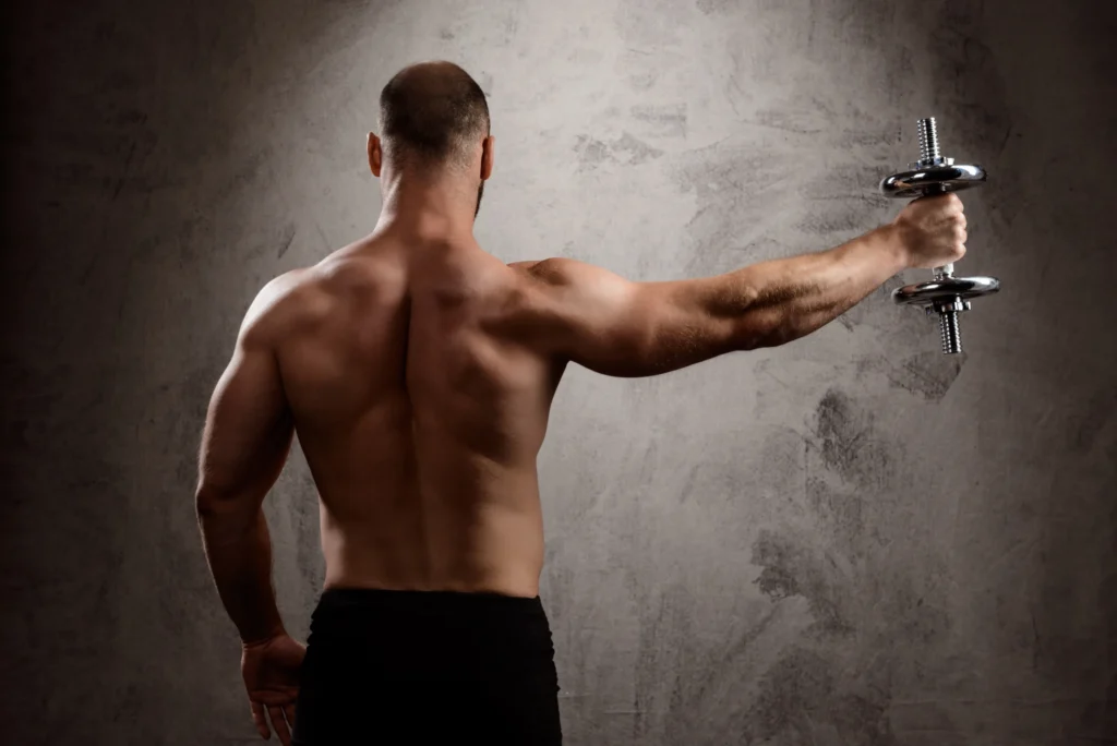 Rear Delt Fly
